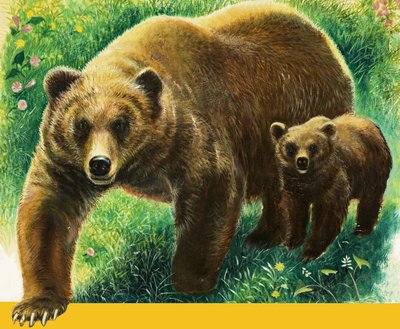 Braunbär und Junges von English School